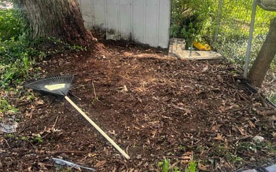 Photo of Christina G.'s yard after getting landscaping in Rising Sun, IN