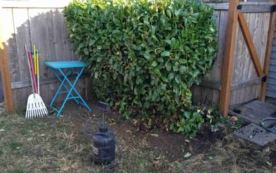 Photo of Tamara H.'s yard after getting landscaping in Canby, OR