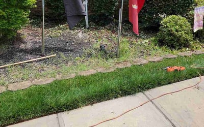 Photo of Michael J.'s yard after getting landscaping in Denver, NC