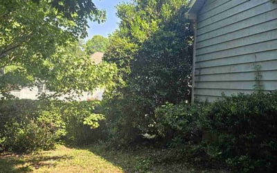 Photo of Mark F.'s yard after getting landscaping in Carrollton, GA