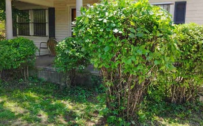 Photo of Carolyn J.'s yard after getting landscaping in Oklahoma City, OK