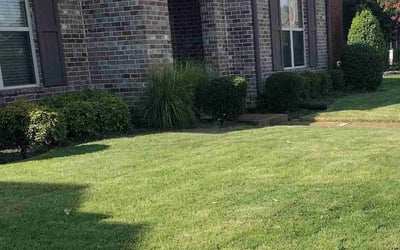 Photo of Donna S.'s yard after getting landscaping in Covington, TN