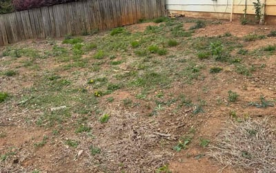 Photo of Michael R.'s yard after getting landscaping in Mount Zion, GA