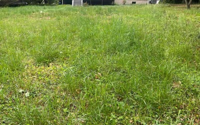 Photo of Jennifer P.'s yard after getting landscaping in Towson, MD