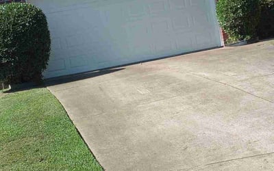 Photo of Michael D.'s yard after getting landscaping in Holly Springs, MS