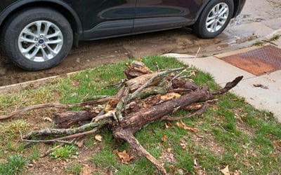 Photo of David S.'s yard after getting landscaping in Stoughton, WI