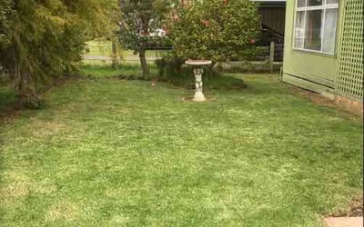Photo of Ophelia R.'s yard after getting tree care in Redding, CA