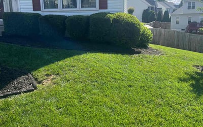 Photo of Debra J.'s yard after getting landscaping in Stafford, VA