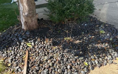 Photo of Judy M.'s yard after getting landscaping in Glen Arm, MD