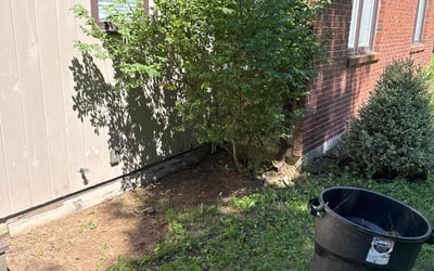 Photo of Chad M.'s yard after getting landscaping in Windsor, CT
