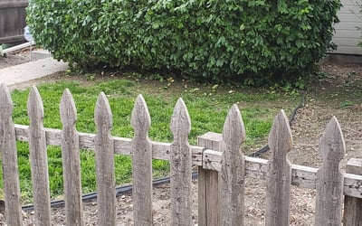 Photo of Sarah S.'s yard after getting landscaping in Carbondale, CO