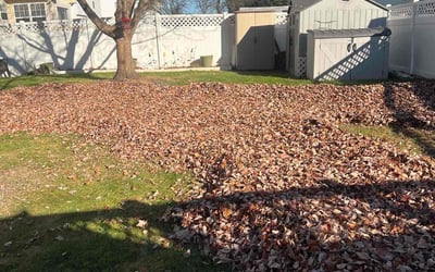 Photo of Dan H.'s yard after getting landscaping in New Windsor, MD