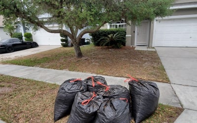 Photo of Ann C.'s yard after getting landscaping in Killarney, FL
