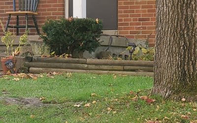 Photo of Robert H.'s yard after getting landscaping in Warsaw, KY