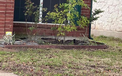 Photo of Jeffrey S.'s yard after getting landscaping in Florence, TX