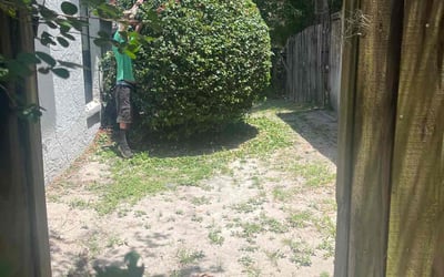Photo of Alicia C.'s yard after getting landscaping in Casselberry, FL