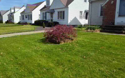Photo of Edward M.'s yard after getting landscaping in Lodi, OH