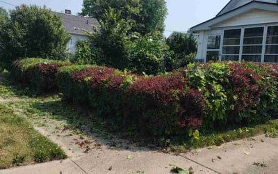 Photo of Robert S.'s yard after getting landscaping in Wellington, OH