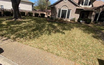 Photo of Gwendolyn L.'s yard after getting landscaping in Macdona, TX