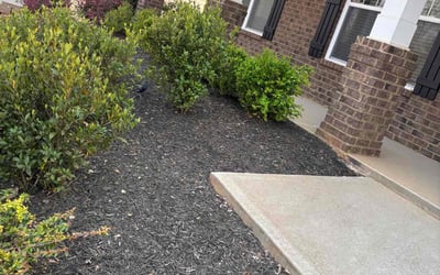 Photo of William B.'s yard after getting landscaping in Travelers Rest, SC