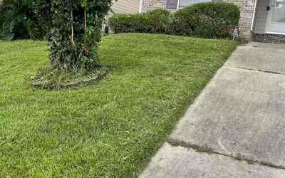 Photo of Kellie M.'s yard after getting tree care in Tallahassee, FL