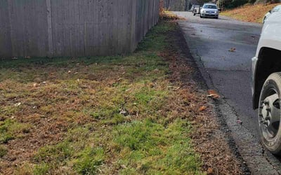 Photo of Michael B.'s yard after getting landscaping in Charlton, MA