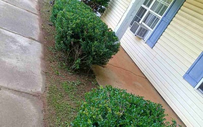 Photo of Donna T.'s yard after getting landscaping in Bethlehem, GA