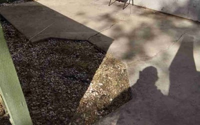 Photo of Samuel M.'s yard after getting landscaping in Palm Desert, CA