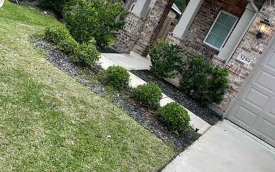Photo of Brian G.'s yard after getting landscaping in Romayor, TX