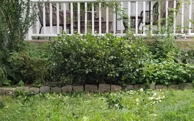 Photo of Lori S.'s yard after getting landscaping in Swarthmore, PA