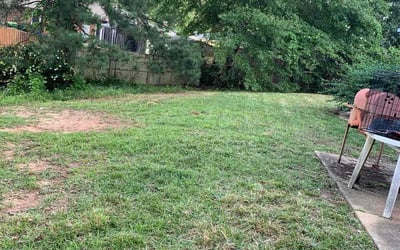 Photo of William R.'s yard after getting landscaping in Phenix City, AL
