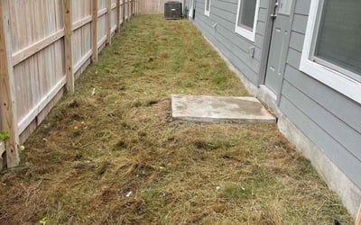 Photo of Holly G.'s yard after getting landscaping in Somerset, TX