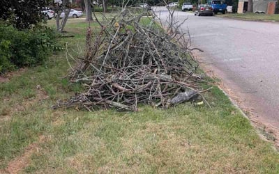 Photo of Daniel S.'s yard after getting landscaping in Taylors, SC