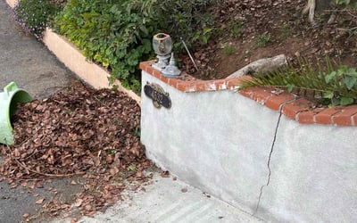 Photo of Sonja N.'s yard after getting tree care in San Bernardino, CA