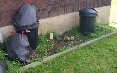 Photo of Angela C.'s yard after getting landscaping in Aliquippa, PA