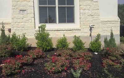 Photo of Travis C.'s yard after getting landscaping in Georgetown, TX