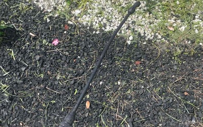 Photo of Patrick P.'s yard after getting landscaping in Jacksonville, FL
