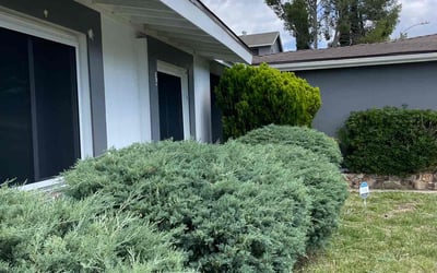Photo of Mathilde T.'s yard after getting tree care in Vista, CA