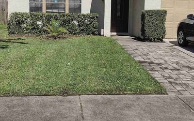 Photo of Jennifer C.'s yard after getting landscaping in Grand Island, FL
