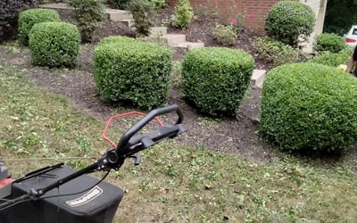 Photo of Sarah G.'s yard after getting landscaping in Bostwick, GA