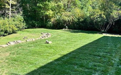 Photo of Nikki L.'s yard after getting lawn care in East Haven, CT