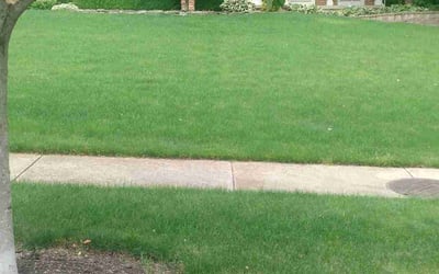 Photo of Margaret C.'s yard after getting landscaping in Perry, OH