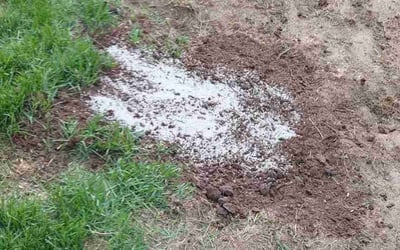 Photo of Jordan S.'s yard after getting landscaping in Deer Trail, CO