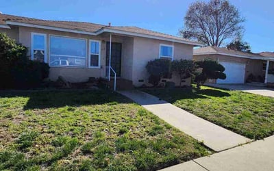 Photo of Austin M.'s yard after getting landscaping in Descanso, CA