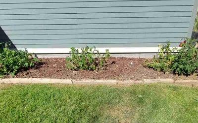 Photo of Andrew F.'s yard after getting landscaping in Agate, CO