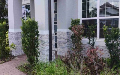 Photo of Chris K.'s yard after getting landscaping in Winter Park, FL