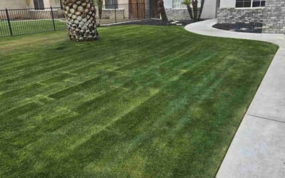 Photo of Elric M.'s yard after getting lawn care in Delano, CA