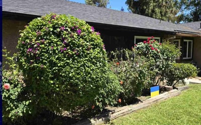 Photo of Stephanie S.'s yard after getting landscaping in Riverside, CA