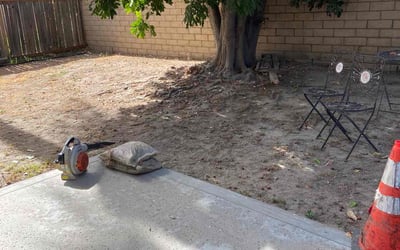 Photo of Larry C.'s yard after getting tree care in Chico, CA