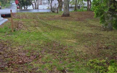 Photo of Dominic R.'s yard after getting lawn care in Huntington, NY